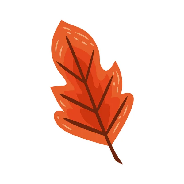 Feuille Orange Feuillage Icône Automnale — Image vectorielle