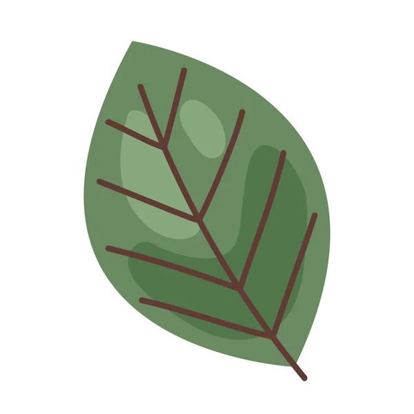 Blatt Pflanze Laub Natur Symbol — Stockvektor