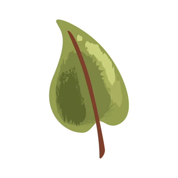Leaf Plant Foliage Nature Icon — Stock Vector