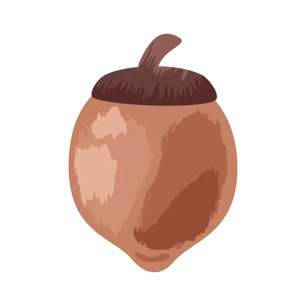 Bellota Semilla Otoño Temporada Icono — Vector de stock