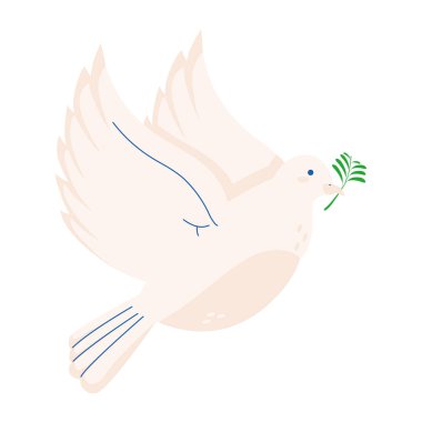 Güvercin zeytin dalı simgesiyle