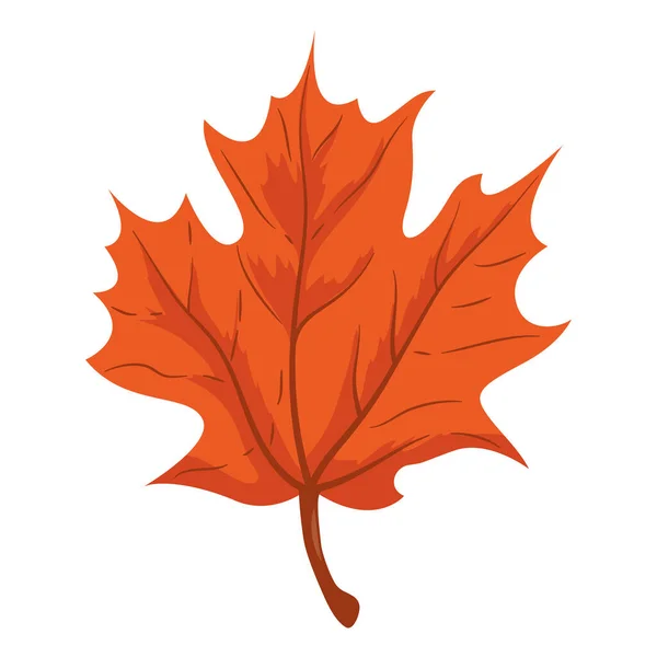 Red Maple Leaf Autumnal Icon — Stock Vector