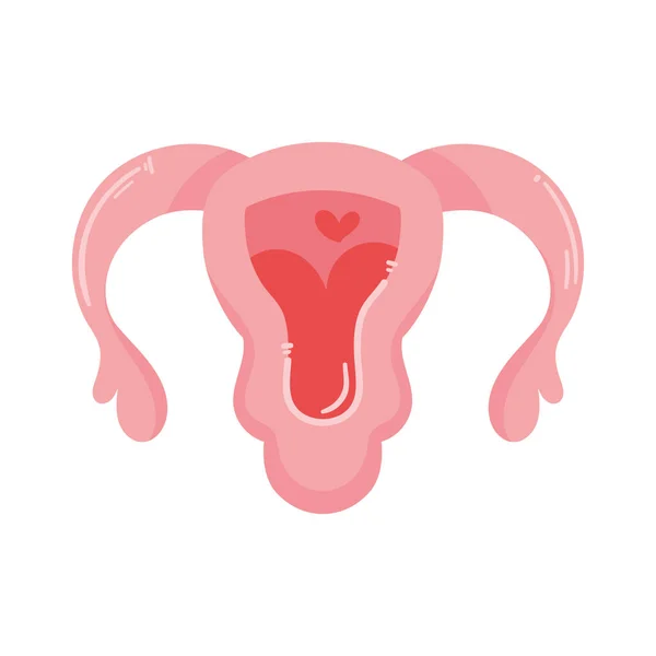Feminní Ikona Ženských Děložních Orgánů — Stockový vektor