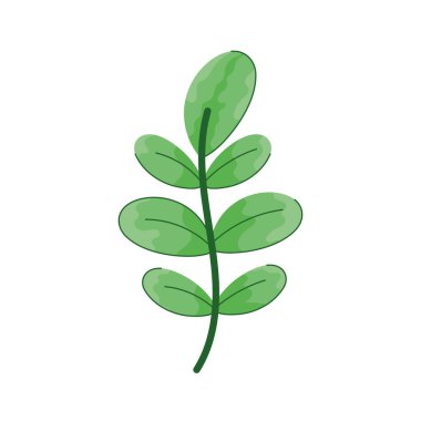 Yeşil yapraklı bir dal.