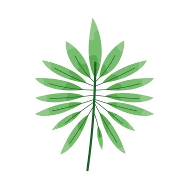 Tropikal yapraklı yaprak dalları