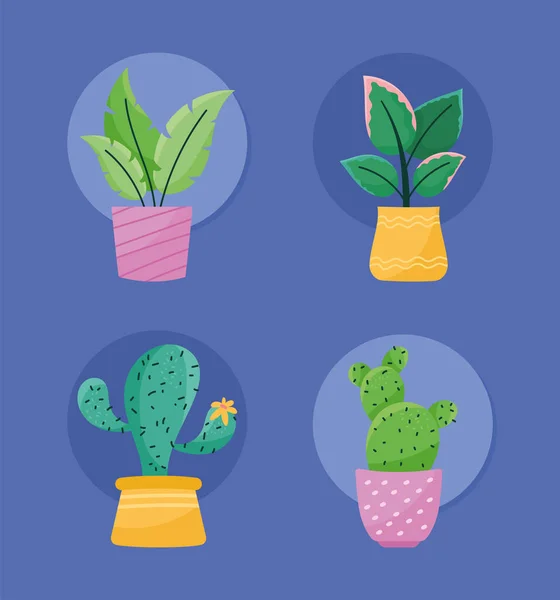 盆栽中的四棵家庭植物 — 图库矢量图片