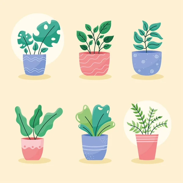 Seis Plantas Interior Macetas Iconos — Vector de stock