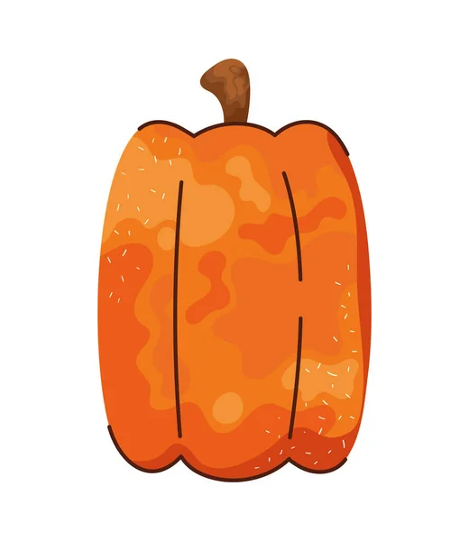 Pumpkin Vegetable Autumnal Seasonal Icon — Stock Vector