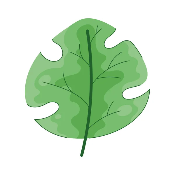 Trópusi Szabadság Lombozat Növényi Ikon — Stock Vector