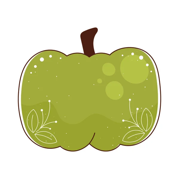 Calabaza Verde Temporada Otoño Vegetal — Vector de stock