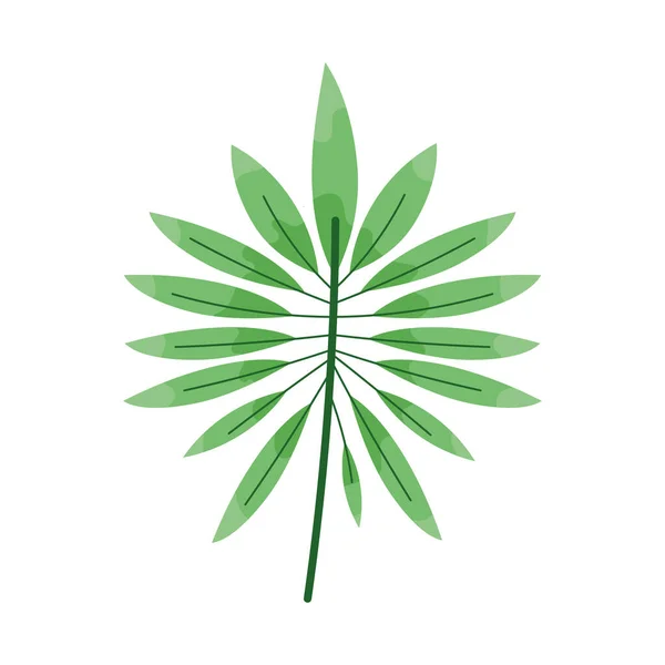 Ветви Листьями Тропических Листьев — стоковый вектор