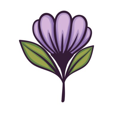 mor çiçek ve yapraklar dekorasyon