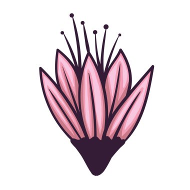 Pembe çiçek bahçesi dekorasyonu doğa