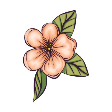 portakal çiçeği ve yaprak süslemesi