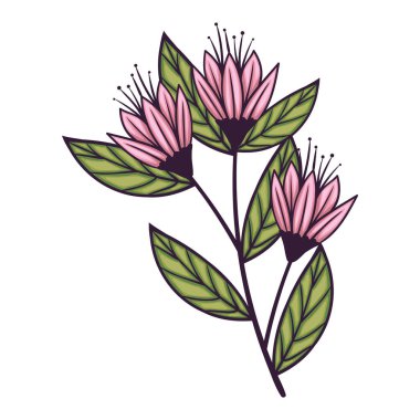 Pembe çiçekler bahçe süslemesi