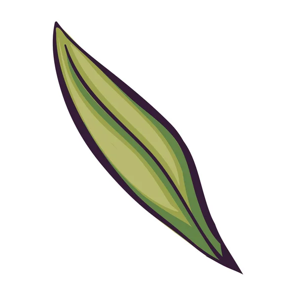 Ökologie Blatt Pflanze Laub Symbol — Stockvektor