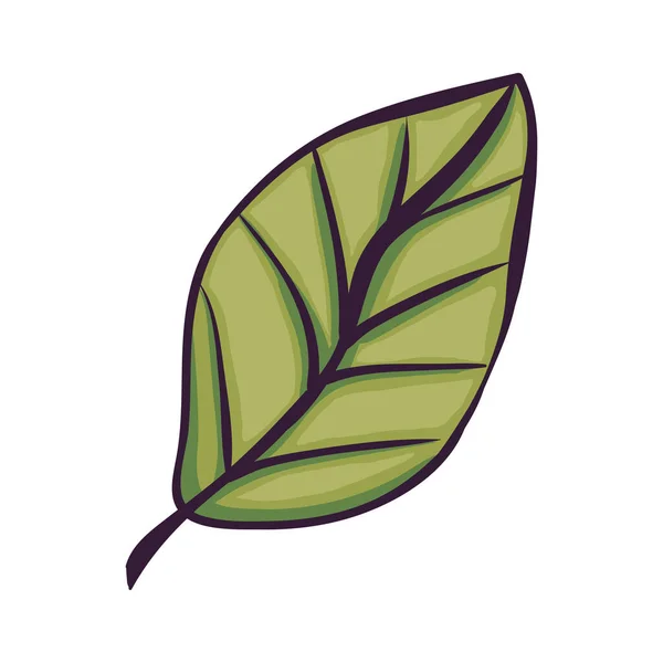 Green Leaf Plant Foliage Nature Icon — ストックベクタ