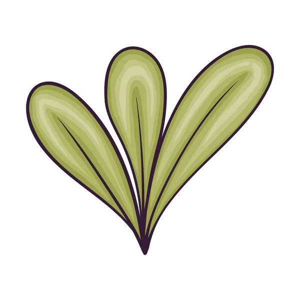 Feuillus Feuillage Végétal Nature Icône — Image vectorielle