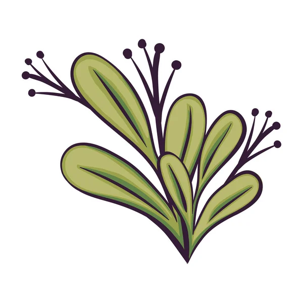 Hojas Planta Pistilos Follaje — Vector de stock