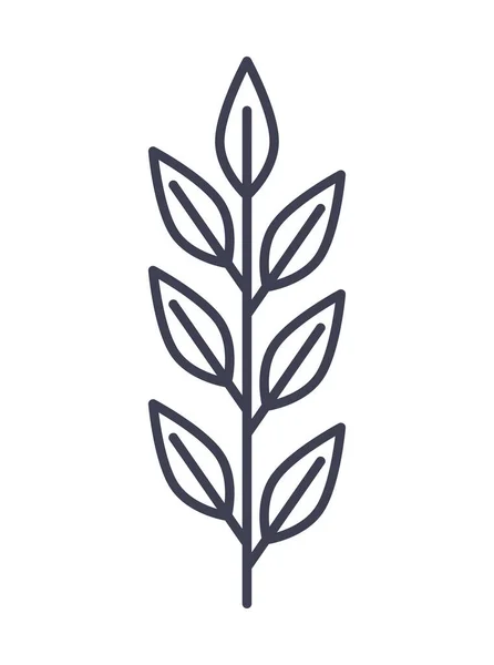 Ветвь Листовой Растительной Линией — стоковый вектор