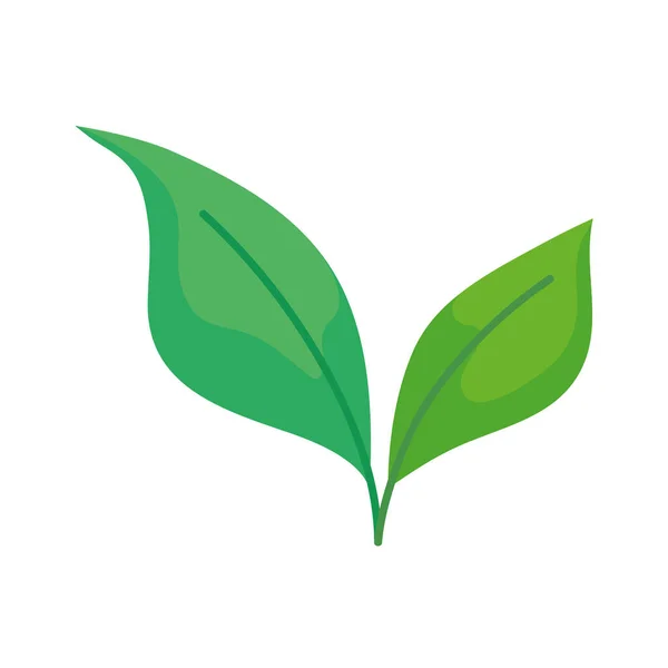 Ecología Hojas Verdes Planta Icono — Vector de stock