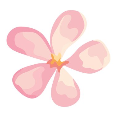 Pembe çiçek bahçesi dekorasyonu doğa