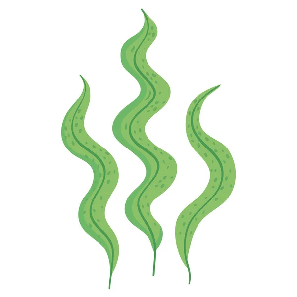 Green Algaes Sealife Nature Icon — ストックベクタ