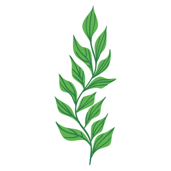 Πράσινα Φύκια Εικονίδιο Φύλλων — Διανυσματικό Αρχείο