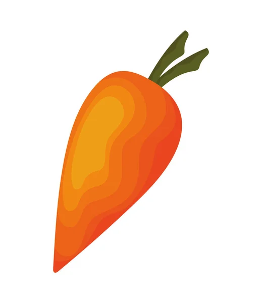 Fresh Carrot Vegetable Healthy Food — Stock Vector