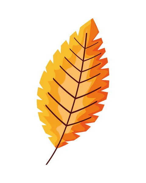 Gelbes Blatt Herbst Saison Symbol — Stockvektor