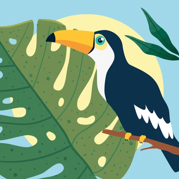 Toucan Bird Branch Pattern Decorative — Stock Vector