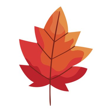 kırmızı sonbahar yaprağı bitki yaprağı simgesi