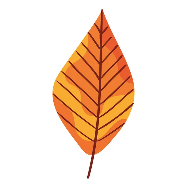 Orange Herbst Blatt Pflanze Laub Symbol — Stockvektor