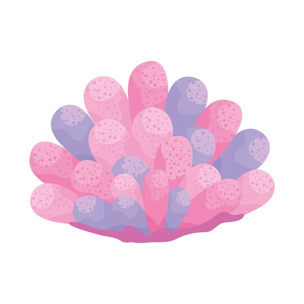 Récif Corail Rose Lilas Sealife — Image vectorielle