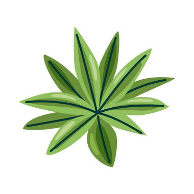 Tropikal orman çalı bitki doğa ikonu