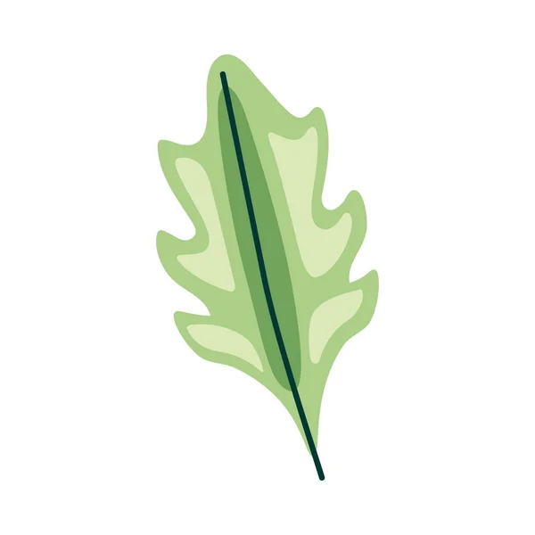 Leaf Plant Foliage Nature Icon — Vettoriale Stock
