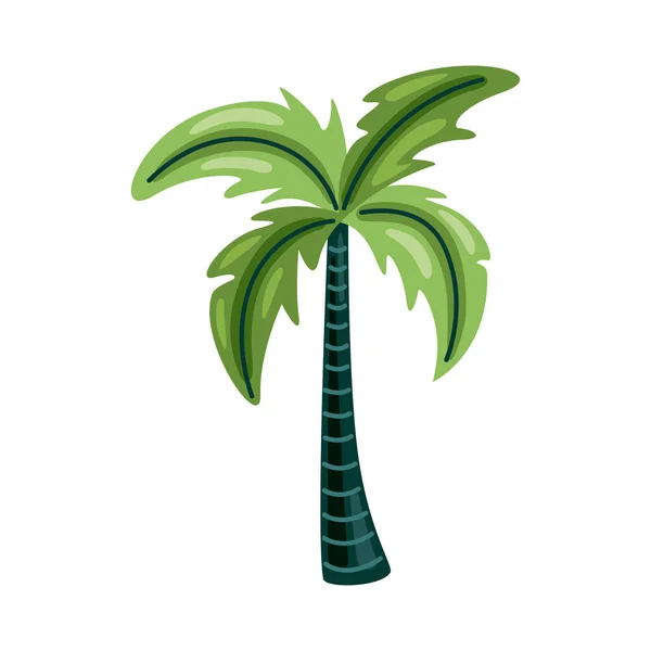 Árbol Palma Planta Tropical Naturaleza Icono — Vector de stock