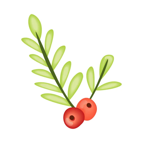 Mistletoe Branches Seeds Icon — Stock Vector