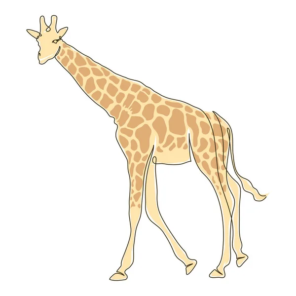 Wilde Giraffe Farbe Gezeichnet Symbol — Stockvektor