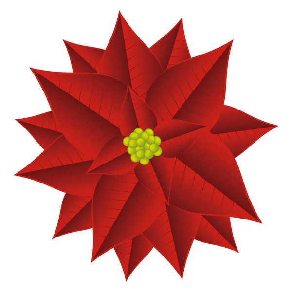 Navidad Flor Roja Icono Decorativo — Archivo Imágenes Vectoriales