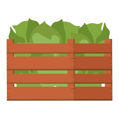 Marul ikonlu ahşap sepet