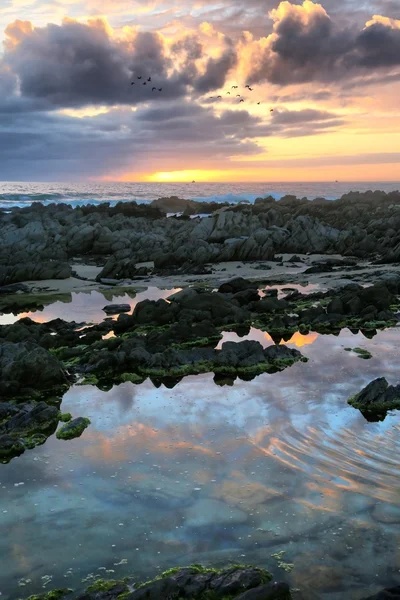 Прибрежный закат — стоковое фото