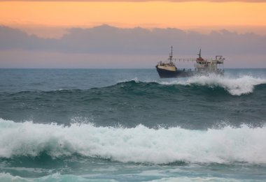 Balıkçı Balıkçısı