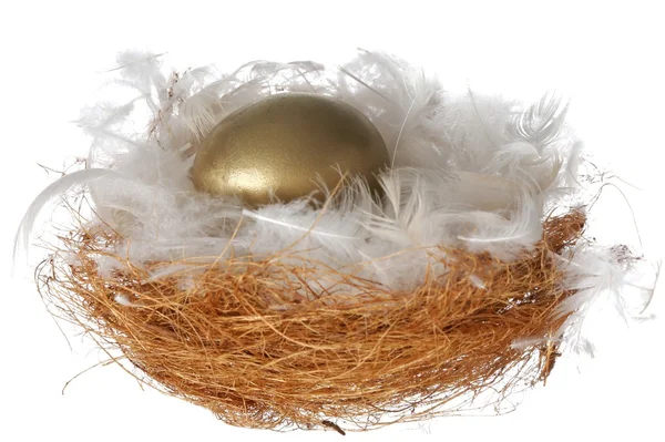 White Feathers and Golden Egg — Stock Photo, Image