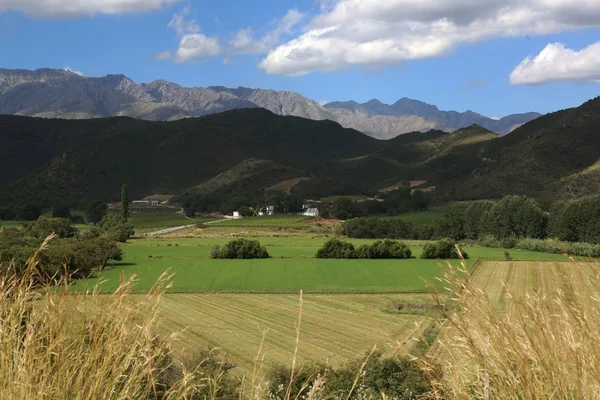 Scenic Farmlands — Stock Photo, Image