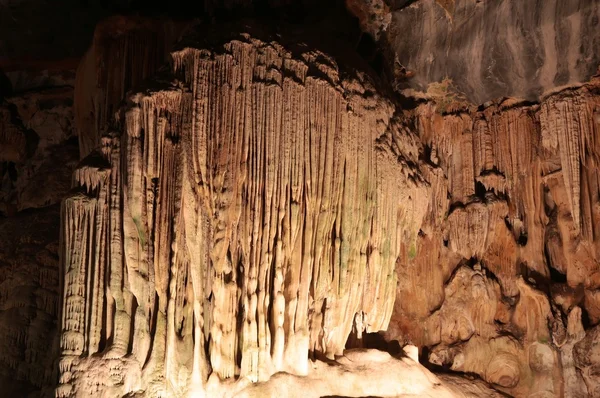 Kalksteinshulene – stockfoto