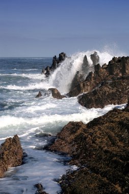Güney Afrika kıyı sahne
