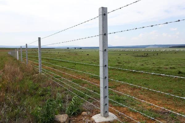 Забор для скота на ферме — стоковое фото