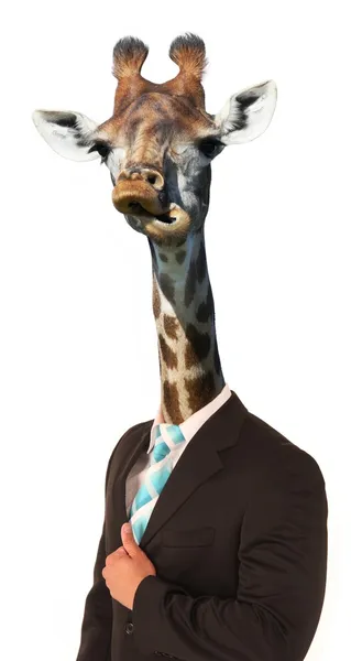 Grappige giraffe man concept — Stockfoto