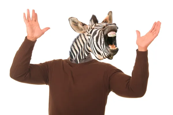 Zebra vicces ember fogalma — Stock Fotó
